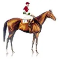 Equine-Webdesign.co.uk